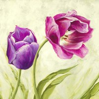 Framed Tulipani Danzanti (Detail)