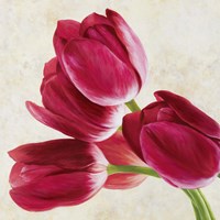 Framed Tulip Concerto (Detail)