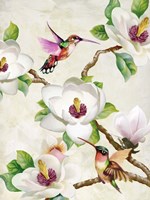 Framed Magnolia and Humming Birds
