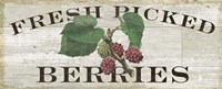 Framed Farm Fresh Berries
