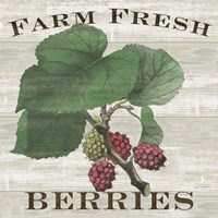 Framed Farm Fresh Berries I
