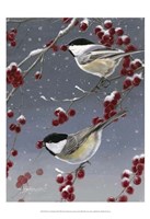 Framed Winter Chickadees II