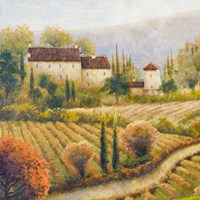 Framed Tuscany Vineyard I