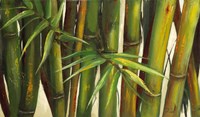 Framed Bamboo on Beige II