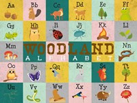 Framed Woodland Alphabet (horizontal)