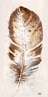Framed Brown Watercolor Feather I