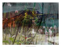 Framed Mountain Wildflowers I