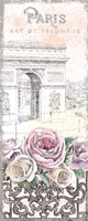 Framed Paris Roses Panel VII