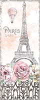 Framed Paris Roses Panel VIII