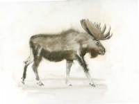 Framed Dark Moose