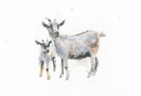 Framed Goat and Kid