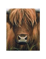 Framed Cow Portrait