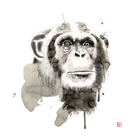 Framed Chimp