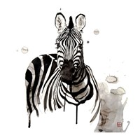 Framed Zebra I