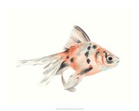 Framed Watercolor Tropical Fish I