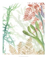 Framed Woven Seaplants I