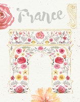 Framed Paris Blooms II