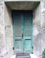 Framed Green Door