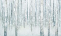 Framed Birches in Winter Blue Gray