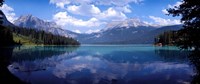 Framed Emerald Lake Reflections, Alberta, Canada