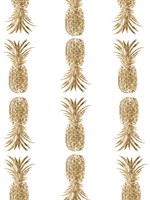 Framed Pineapple Life VI