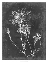 Framed Slate Floral III
