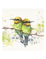 Framed Family (Rainbow Bee Eaters)