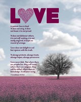 Framed Corinthians 13:4-8 Love is Patient - Pink Field