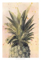 Framed Pineapple Delight I