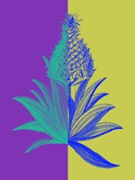 Framed Pineapple Mix II