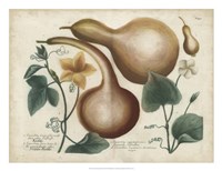 Framed Exotic Weinmann Botanical I