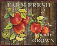 Framed 'Farm Fresh III' border=