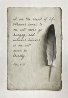Framed John 6:35 I am the Bread of Life (Gray)