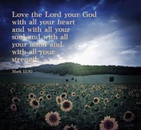 Framed Mark 12:30 Love the Lord Your God (Sunflowers)