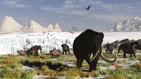 Framed Woolly Mammoths and Woolly Rhinos in a Prehistoric Landscape