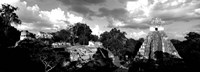 Framed Ruins Of An Old Temple, Tikal, Guatemala BW