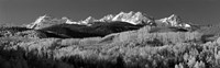 Framed Colorado, Rocky Mountains, aspens, autumn