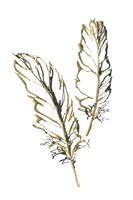 Framed Gilded Barn Owl Feather