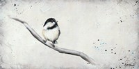 Framed Chickadee I