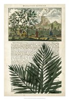 Framed Journal of the Tropics II