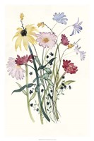 Framed Wildflower Watercolor I