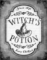 Framed Witch's Potion