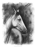 Framed Charcoal Equestrian Portrait I