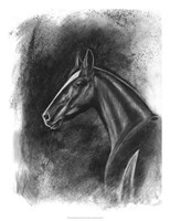 Framed Charcoal Equestrian Portrait II