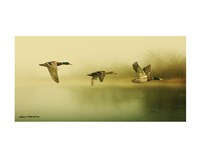 Framed Ducks Flying