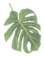 Framed Philodendron 2