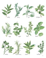 Framed Herb Chart