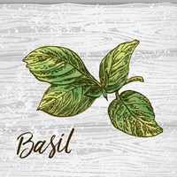 Framed Basil on Wood