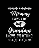 Framed Grandma Knows Everything