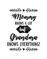 Framed Grandma Knows Everything 2